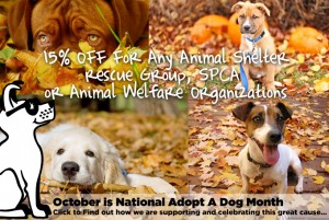 Animal Shelter, SPCA, Rescue Dogs